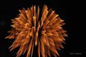 Fireworks 3a-528