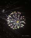 Fireworks 3a-801