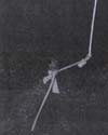66