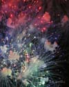 Fireworks 3a-888